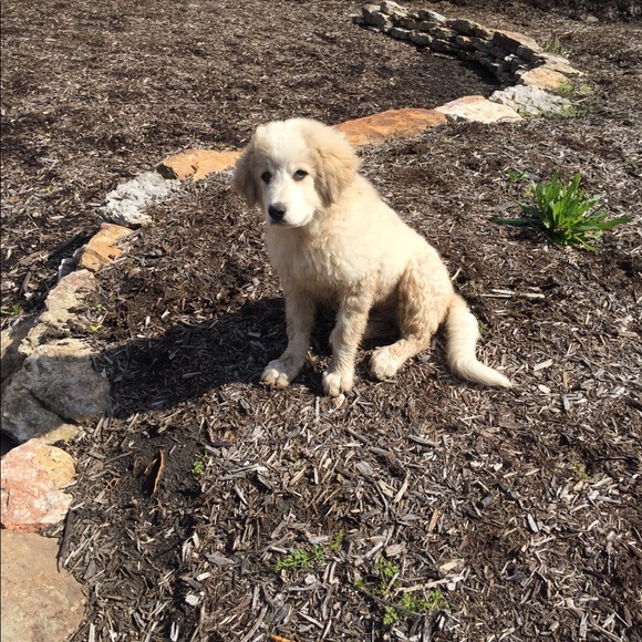 Meet your Posher, Julienne - Picture 5 of 7